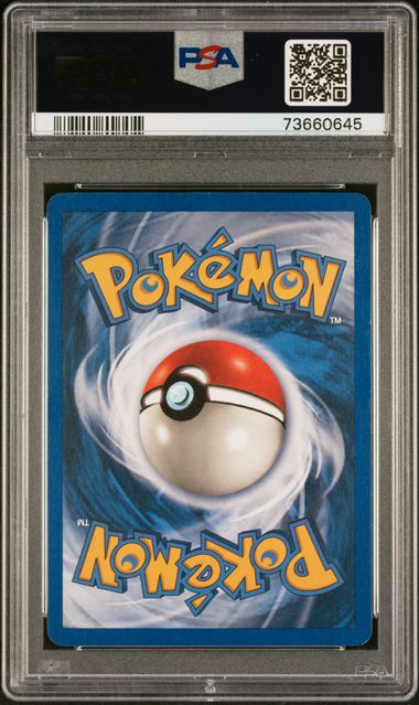 2003 POKEMON SKYRIDGE