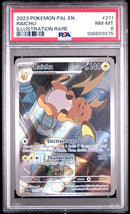 2023 POKEMON PAL EN-PALDEA EVOLVED