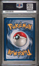 2000 POKEMON GYM HEROES