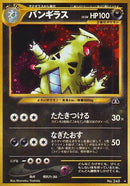 Tyranitar - No. 248 Crossing the Ruins...