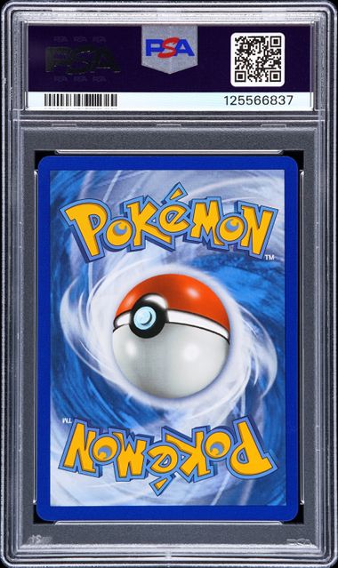 2019 POKEMON SUN & MOON TEAM UP