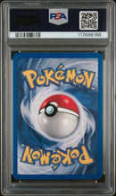 2000 POKEMON GYM HEROES