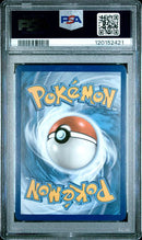 2022 POKEMON GO