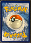 Special Delivery Bidoof (SWSH177) [Sword & Shield: Black Star Promos] SCAN