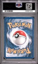 2000 POKEMON GYM HEROES