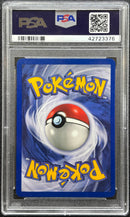 2000 POKEMON GYM HEROES