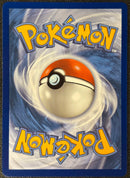 Pikachu ex (276/217) [Mega Evolution: Ascended Heroes] SCAN 1113