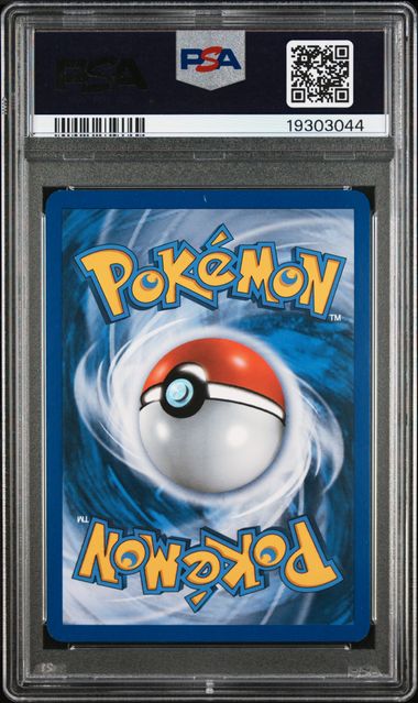 2011 POKEMON BLACK & WHITE