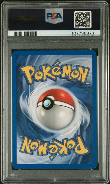2000 POKEMON GYM HEROES