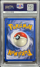 2003 POKEMON SKYRIDGE