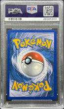 2011 POKEMON BLACK & WHITE