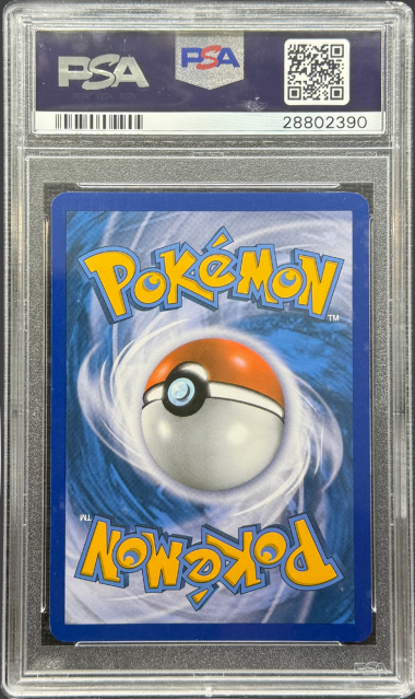 2013 POKEMON BLACK & WHITE LEGENDARY TREASURES