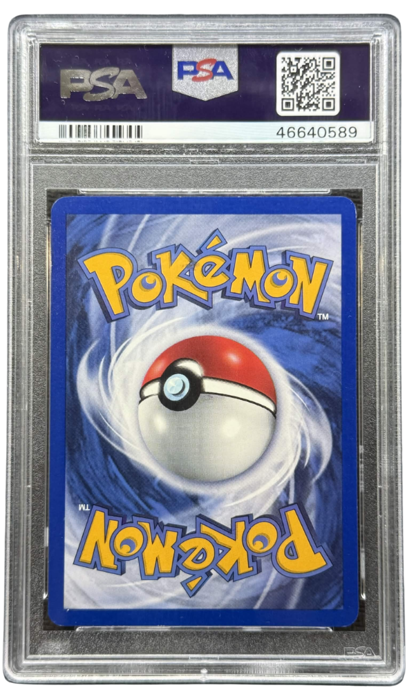 2000 POKEMON GYM HEROES