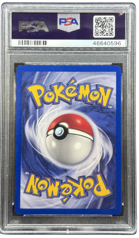 2000 POKEMON GYM HEROES