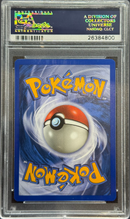 2003 POKEMON SKYRIDGE