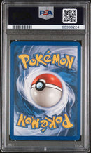 2003 POKEMON SKYRIDGE