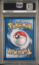 2000 POKEMON GYM HEROES