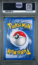 2000 POKEMON GYM HEROES