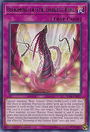 Blooming of the Darkest Rose [LED4-EN027] Rare
