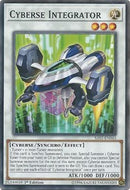 Cyberse Integrator [SAST-EN043] Common