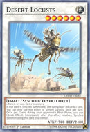 Desert Locusts [CHIM-EN082] Common