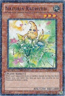 Naturia Ragweed [DT04-EN080] Common