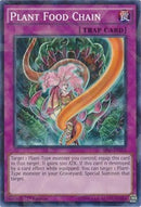 Plant Food Chain (Shatterfoil) [BP03-EN212] Common
